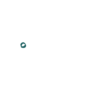 Rex Kutyaotthon Alapítvány