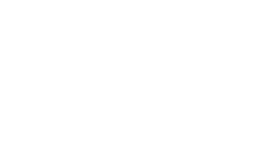 BEFLEX